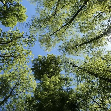 La Phyllade Feriehus